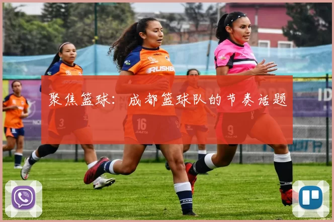 聚焦篮球：成都篮球队的节奏话题