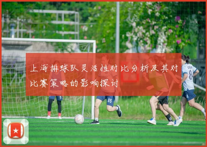 上海排球队灵活性对比分析及其对比赛策略的影响探讨