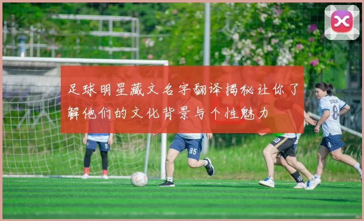 足球明星藏文名字翻译揭秘让你了解他们的文化背景与个性魅力