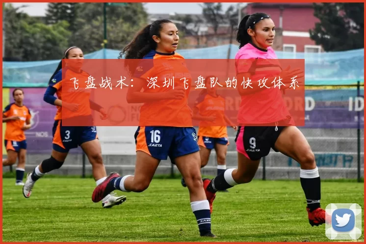 飞盘战术：深圳飞盘队的快攻体系