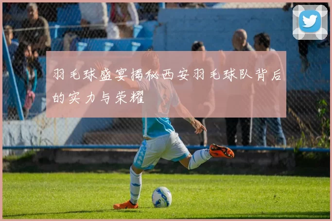 羽毛球盛宴揭秘西安羽毛球队背后的实力与荣耀