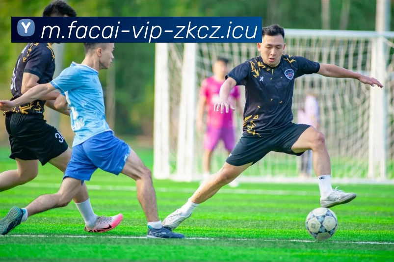 华体会体育平台生态图